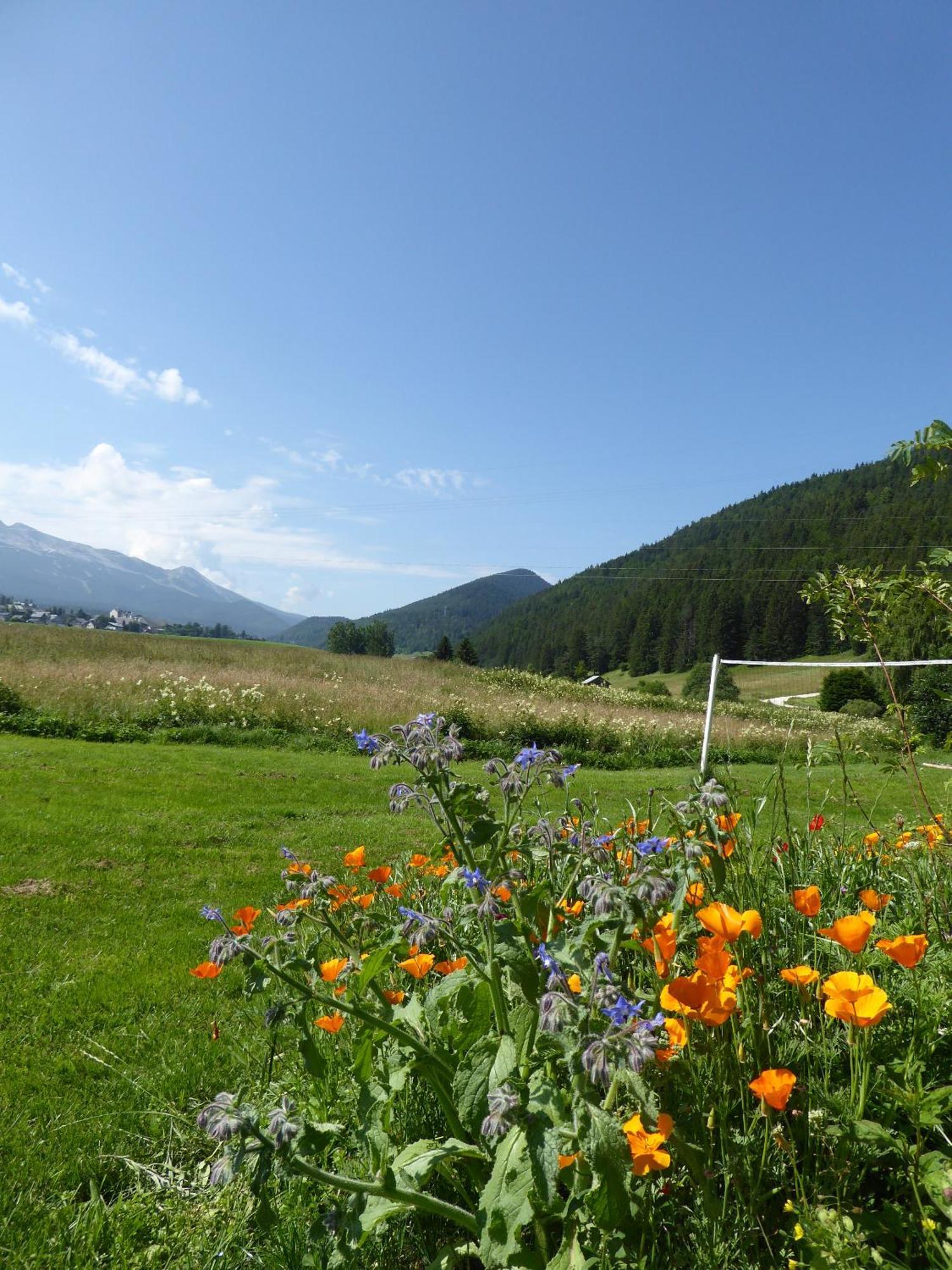 Ferme De La Grande Moucherolle Villard-de-Lans Exterior photo